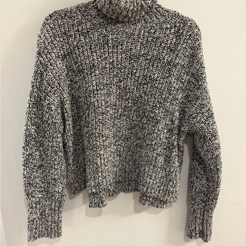 Madewell Black and White Turtleneck Sweater